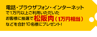 �d�b�E�u���E�U�t�H���E�C���^�[�l�b�g��1���~�ȏゲ���p�������������q���܂ɒ��I�ŏ����(1���~����)�Ȃǂ����v10���l�Ƀv���[���g�I